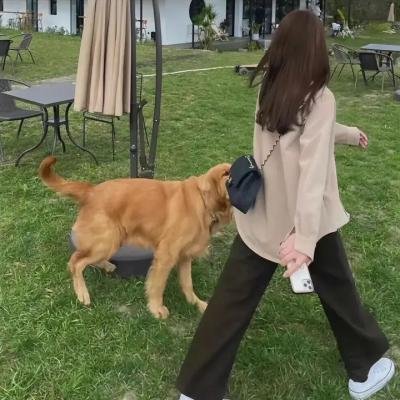 房屋出租